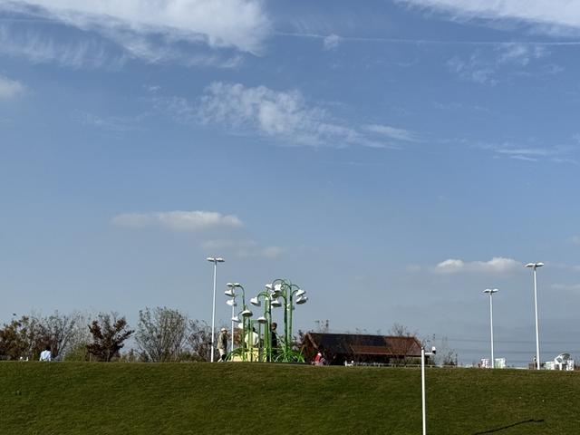 绿茵网球场上的铃兰艺术装置。沈思怡 摄