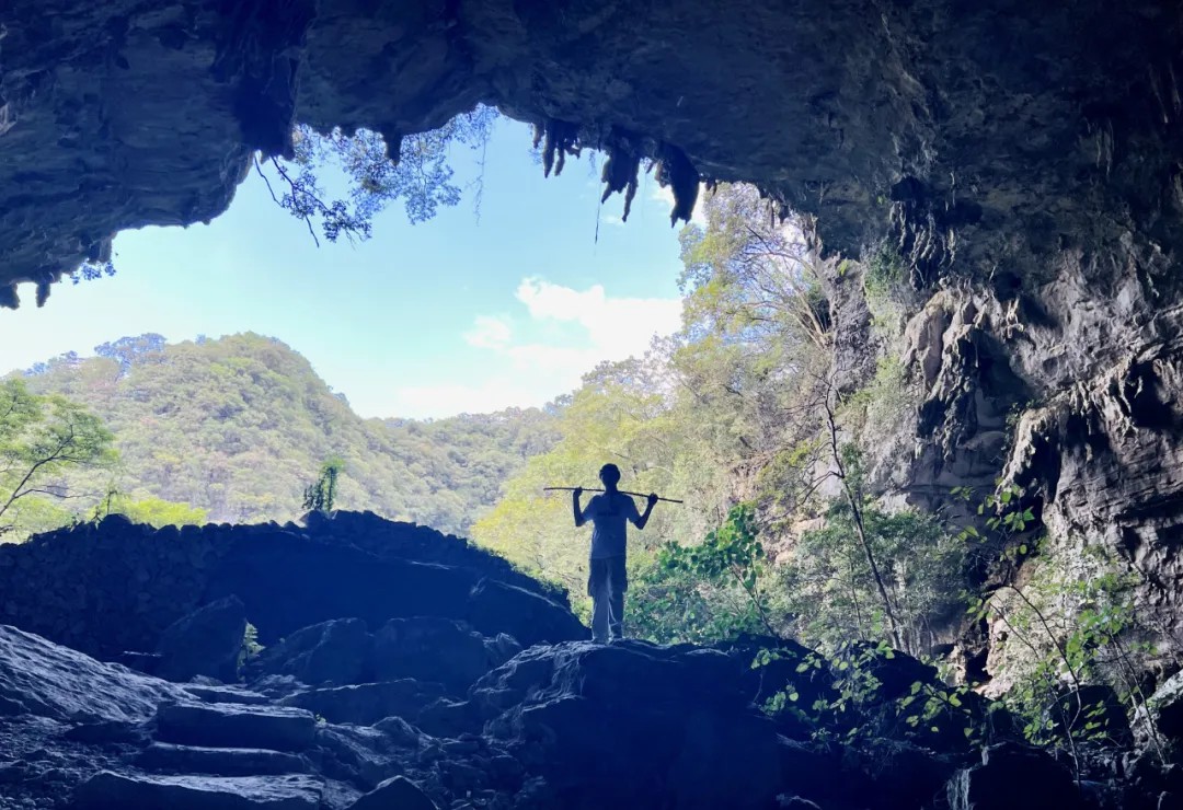 图源：荔波茂兰旅游景区