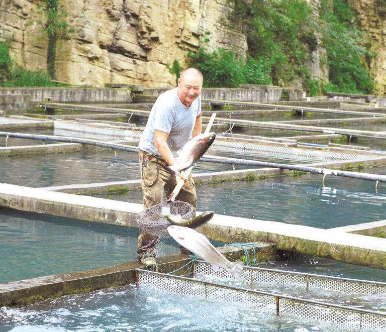 毕节市丽水大山三文鱼养殖场。 （贵州省渔业协会供图）