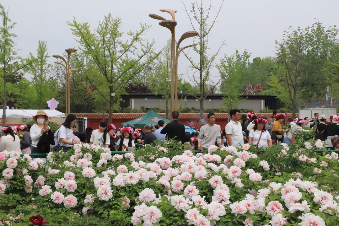 图源：菏泽发布