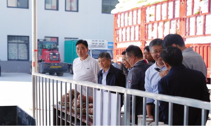 课题组在一线调研