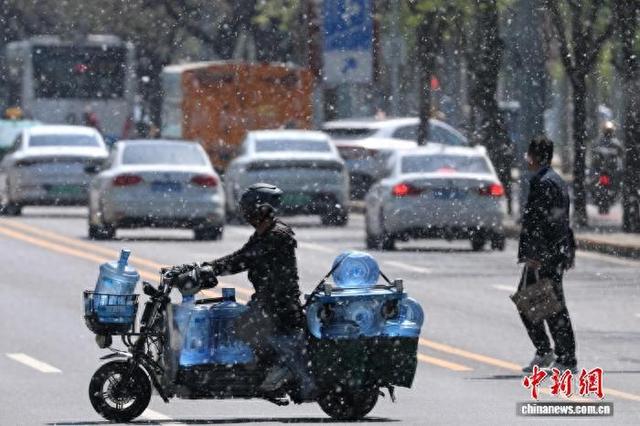 4月10日，北京西城区，市民在杨柳絮飘飞的街道上穿行。 中新社记者 盛佳鹏 摄
