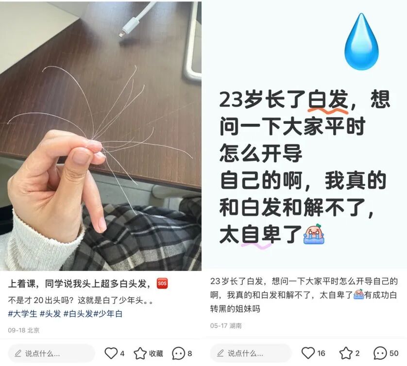 图片来源于网络