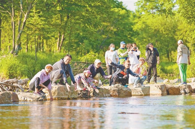游客在伊春宝宇森林生态小镇的山林间亲近自然。本报记者 刘欣摄