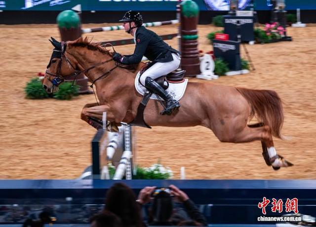 图为1月31日的马术障碍赛中，骑手驭马跃障。中新网记者 侯宇 摄