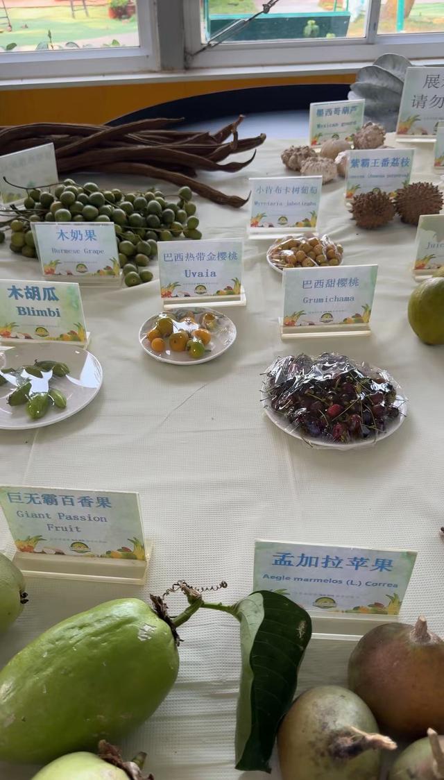 来自世界各地的不同热带水果。人民网记者 焦磊摄