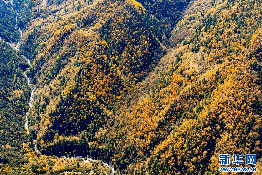 德钦县山岭秋色（10月22日摄）。新华网发（春英 摄）
