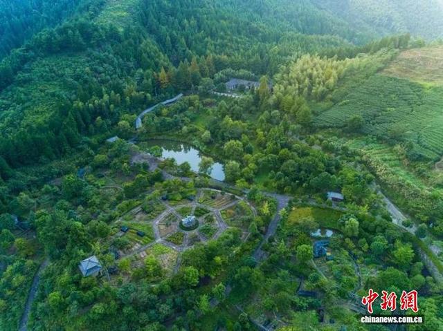 图为大盘山药用植物园。主办方供图
