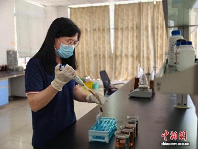 图为梁丽在抽样检查。林馨 摄