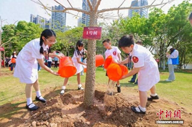 植树活动现场。广州市林业和园林局 供图