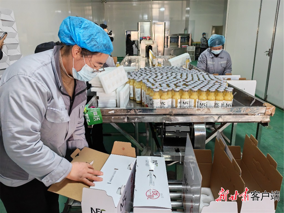 杨凡菊正在进行装箱质检。本文图片均由新甘肃·甘肃日报记者 马国顺 摄