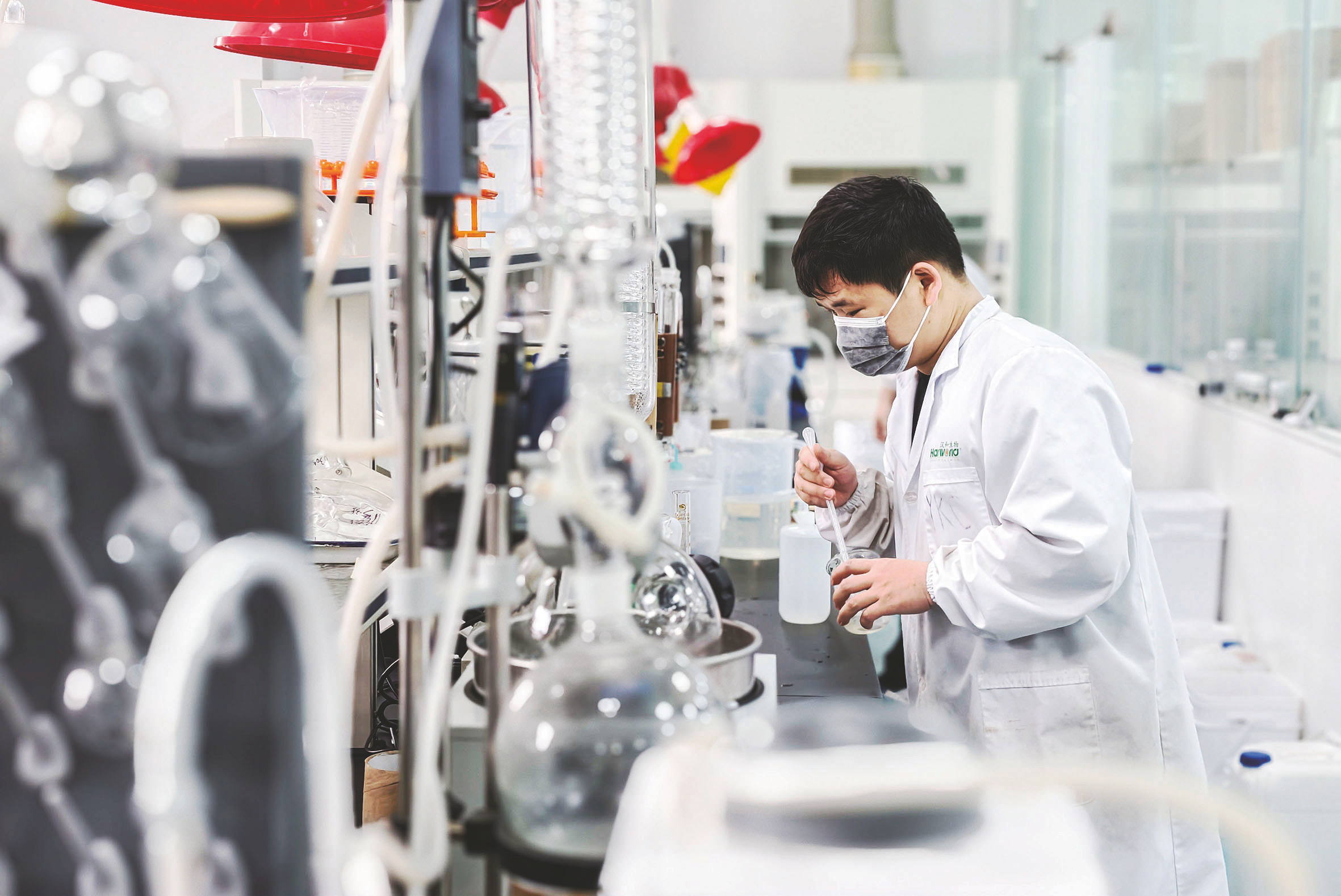     汉和生物技术人员在实验室里忙碌。    本报记者韦峭    摄