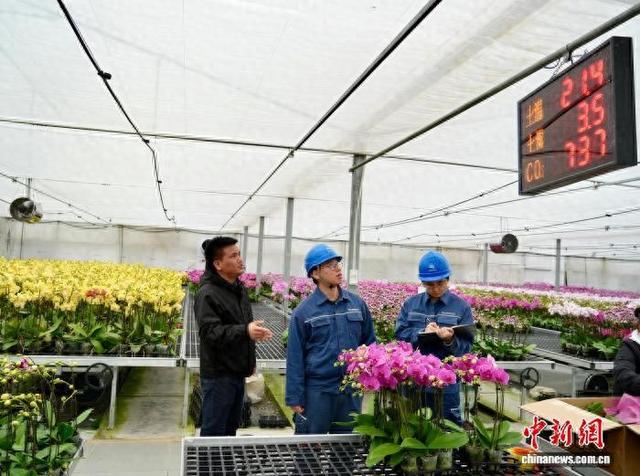 佛山市南海区里水镇万顷园艺世界相关负责人，向巡检的供电部门工作人员介绍园区内环境智能监控系统。广东电网公司 供图