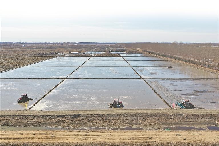 泡田整地工作。徐宏宇摄