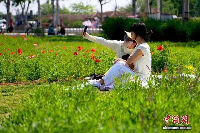 图为市民在殷墟国家考古遗址公园拍照打卡。中新社记者 李超庆 摄