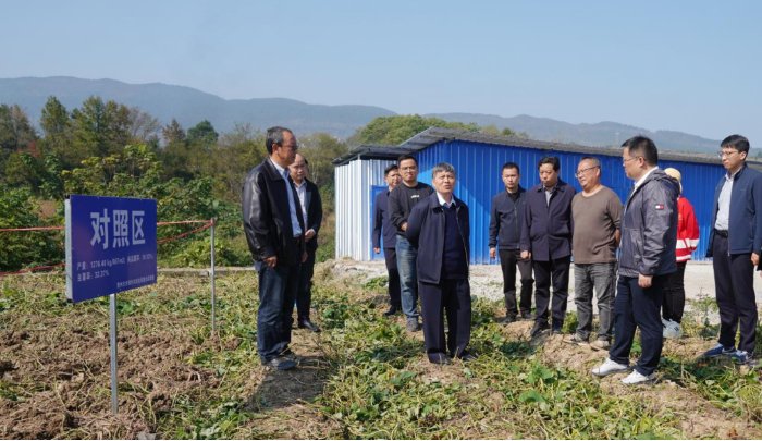 课题组在一线调研