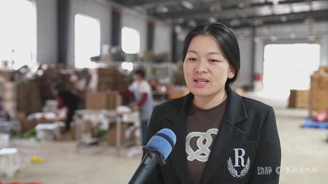 贵州多米电子商务有限公司法人曹姗