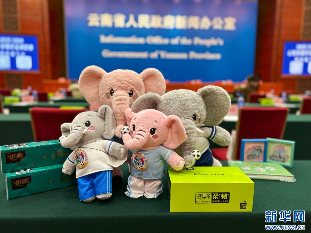 “滇超联赛”吉祥物“风风”和“云云”毛绒玩偶（11月19日摄）。新华网发（丁凝 摄）