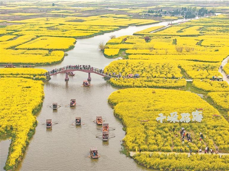 4月4日，游客在江苏兴化千垛景区踏青赏花。