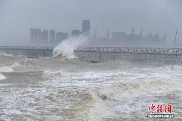 10月5日，受今年第21号台风“麦德姆”(强台风级)影响，海南省海口市西海岸附近海域掀起层层巨浪。中新社记者 骆云飞 摄