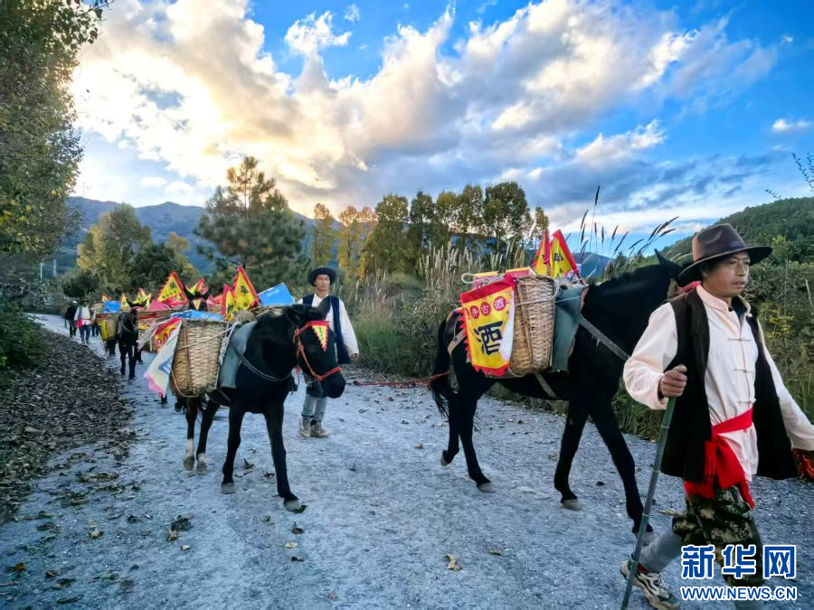 重走盐马古道的“马锅头”（11月7日 摄）。供图