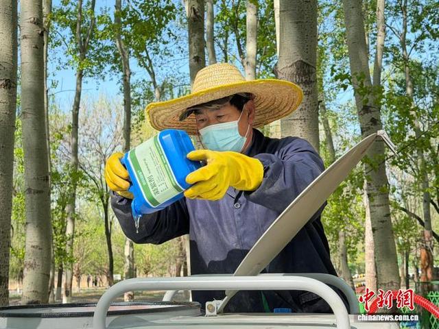 4月11日，工作人员使用杨柳飞絮凝絮剂治理飞絮。北京市园林绿化局供图