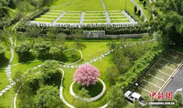 广州市黄埔区黄麻社区建设“绿美红色乡村”。广东省林业局 供图