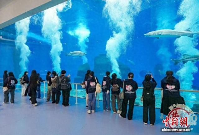 活动现场。 主办方供图