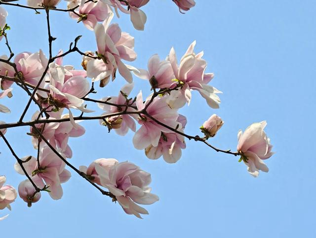 来源：北京日报客户端