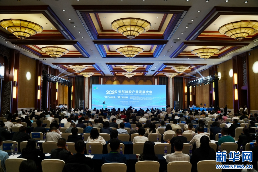 2025天然橡胶产业发展大会现场(10月25日摄)。新华网发(李柏霖 摄)