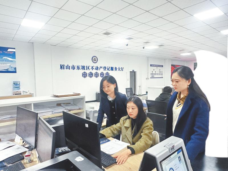 眉山市东坡区纪委监委纪检监察干部在该区不动产登记中心了解登记情况。徐苗 摄