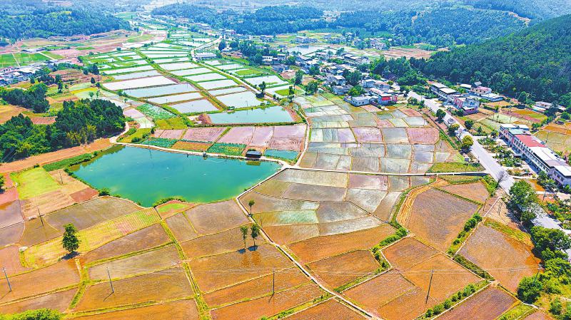 中江县粮食生猪现代农业产业园春灌场景。四川省都江堰水利发展中心供图