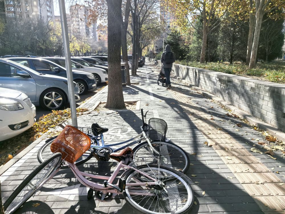   图为北京市丰台区一条人行道上，被大风吹倒的自行车。新华社发（刘品彤摄）