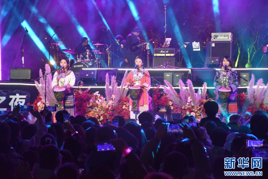 演出现场（11月14日摄）。新华网发