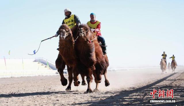 图为赛场上选手们你追我赶间卷起阵阵黄沙。中新社记者 陈峰 摄