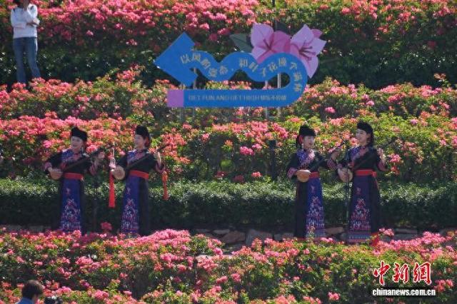 图为活动现场。陆天 摄