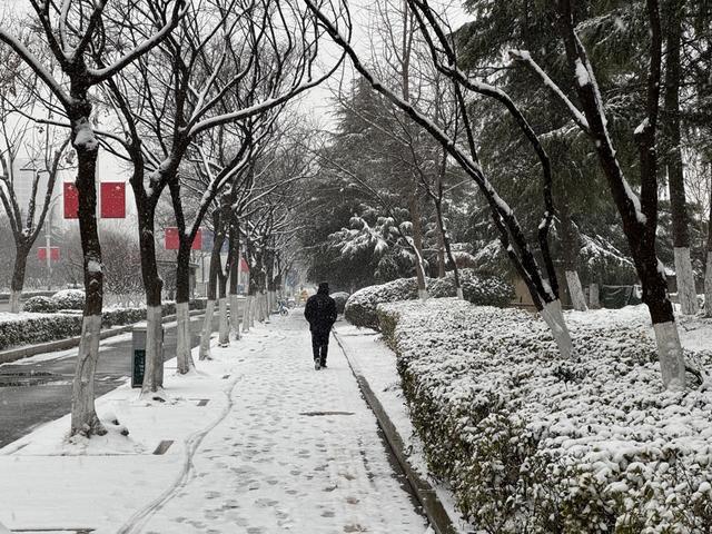 1月19日，沛县的街道上已经积起了一层雪（金亦辰 摄）