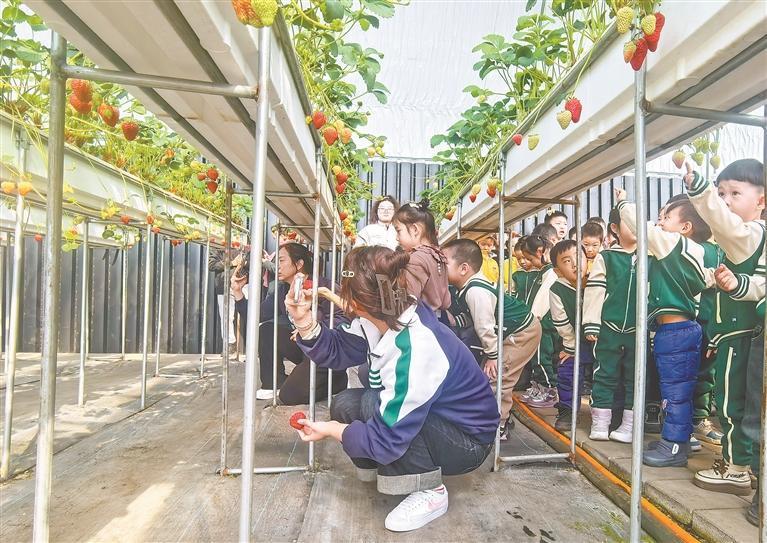 研学现场。权子炎 刘新宇 本报记者 刘畅摄