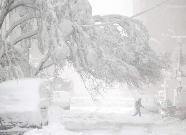 2月23日，美国纽约，树枝因覆盖厚重积雪而下垂。视觉中国 图