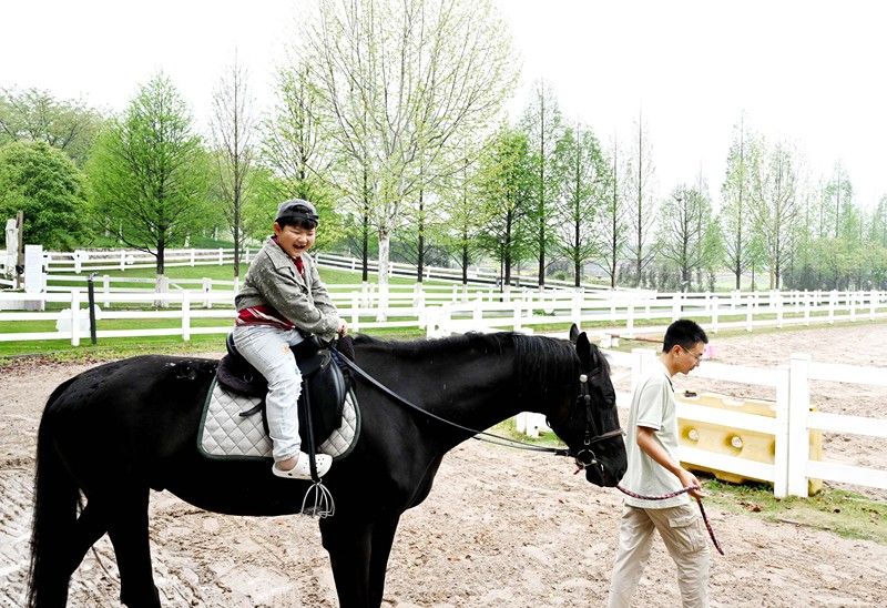 责任编辑：胡庆章