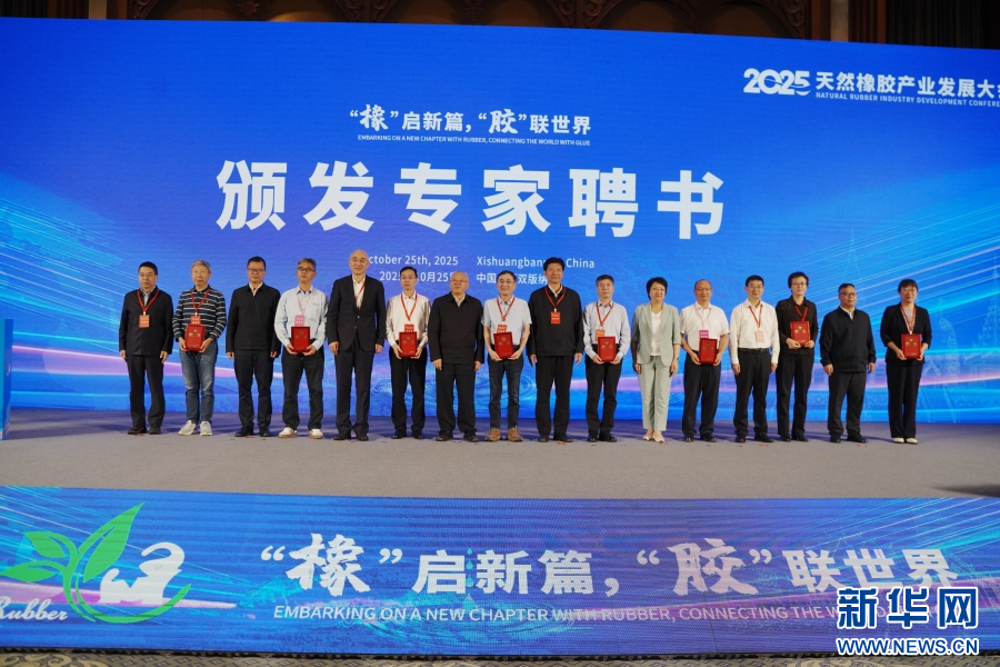 大会现场为专家颁发聘书(10月25日摄)。新华网发(李柏霖 摄)