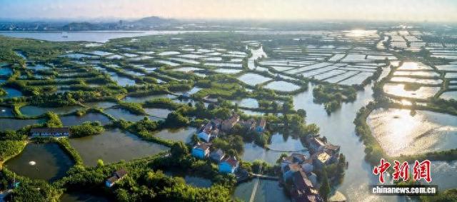 10月5日，航拍下的桑基鱼塘。(浙江省和孚镇供图)