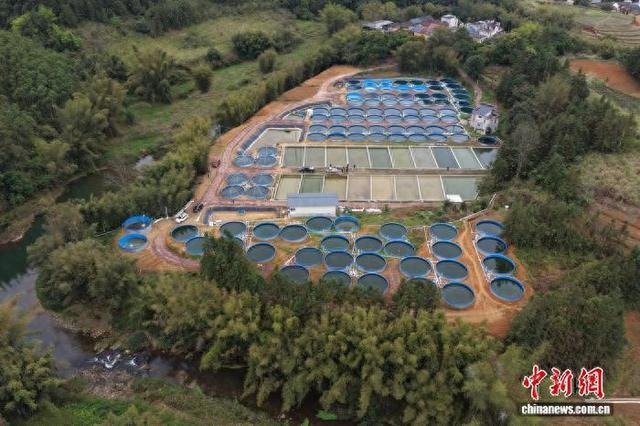 图为当地设施渔业基地。平南县融媒体中心 供图