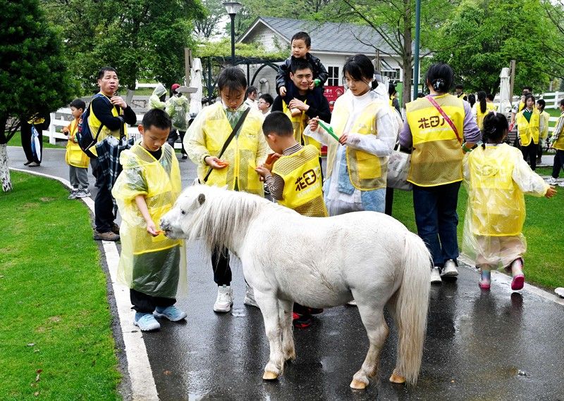 责任编辑：胡庆章