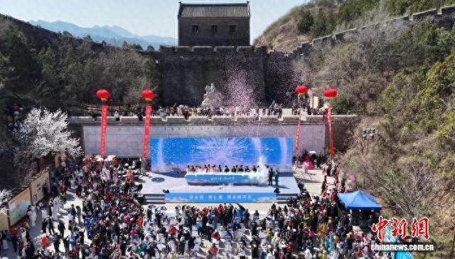4月4日,承德市2026春季旅游启动仪式暨金山岭长城第十四届杏花节现场。(无人机照片) 梁志青 摄