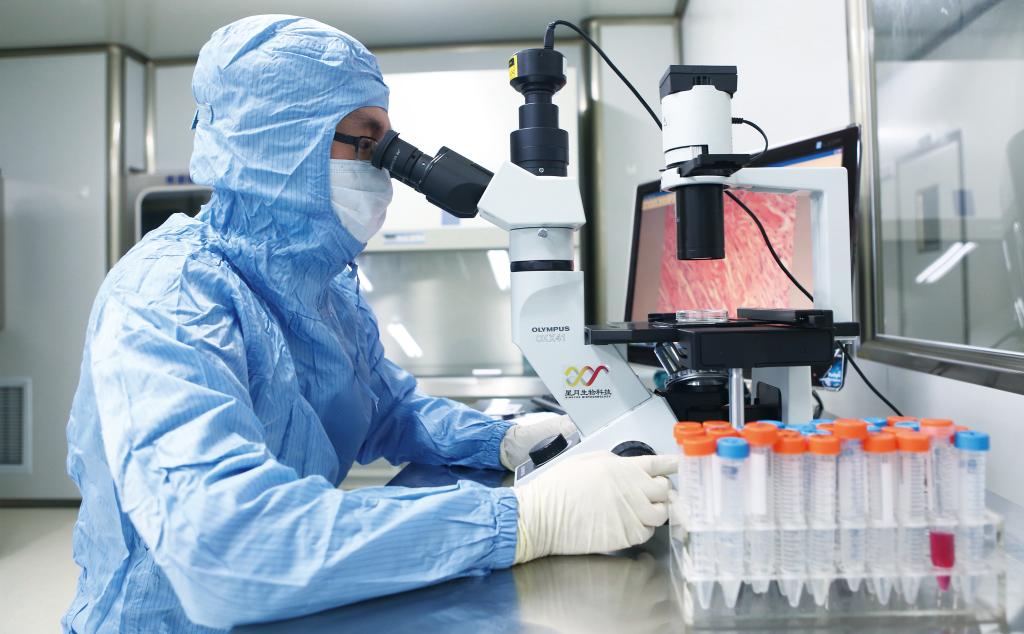 研发人员正在进行药物研发。新华社记者唐弢 摄