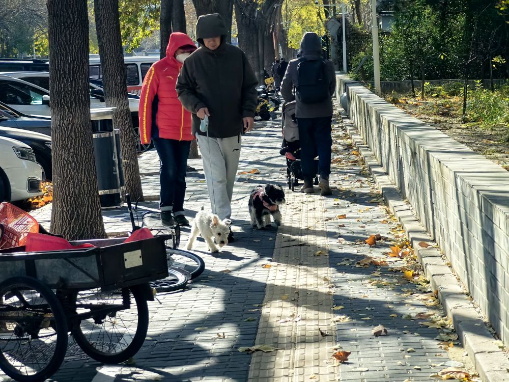   图为北京市丰台区，人们在大风中行走。新华社发（刘品彤摄）