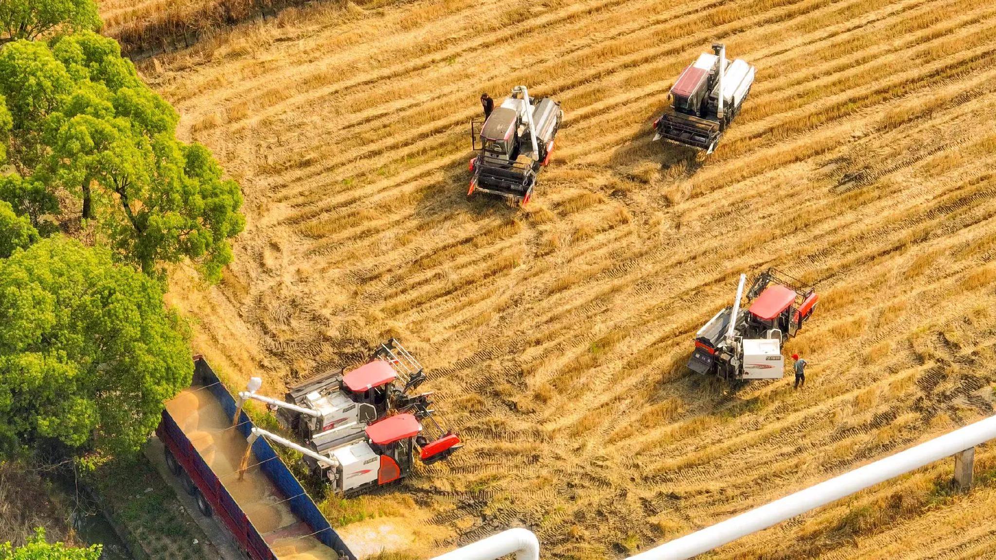   南浔区千金镇机械化收获现场。
