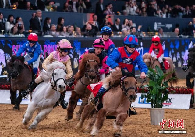 图为1月31日进行的雪特兰小马大赛中，青少年驾驭小马跃障竞速。中新网记者 侯宇 摄