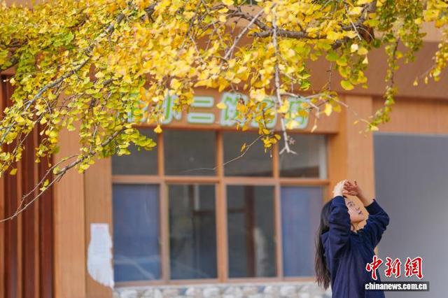 图为游客在银杏树下拍照留念。张倩龙 摄